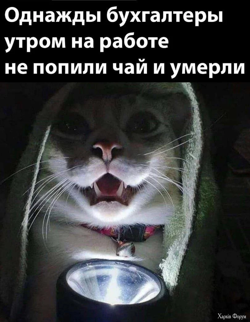 20241212_225933.webp