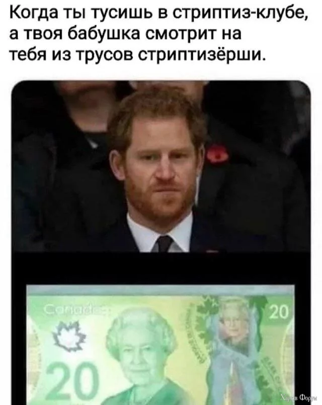 20241215_124355.webp