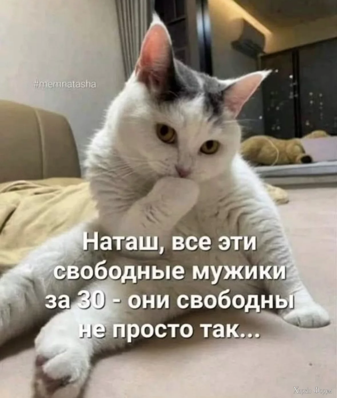20241224_191734.webp