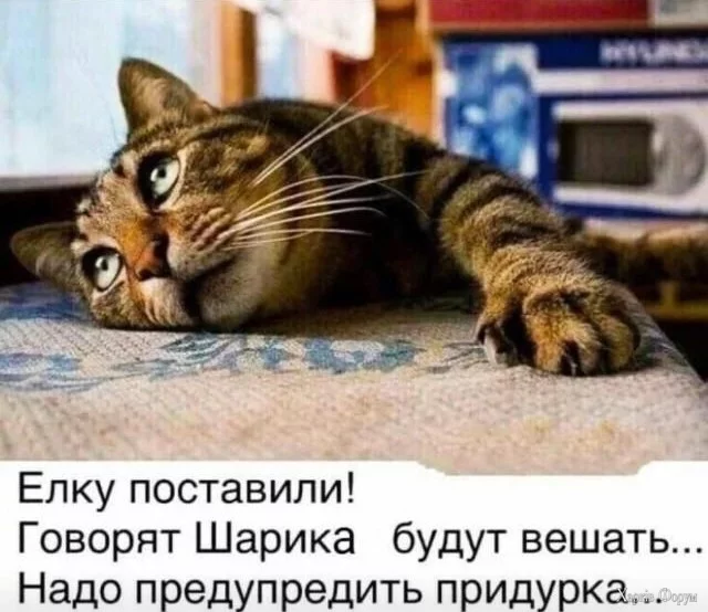 20241228_173711.webp