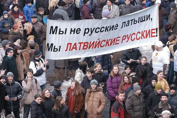 2025-02-03_024122.png