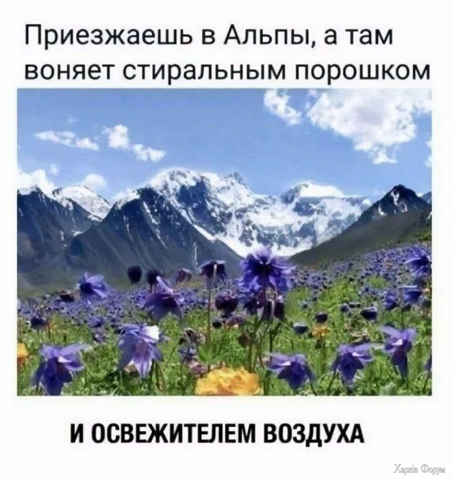 2025-02-10-mixnews-19-3.webp