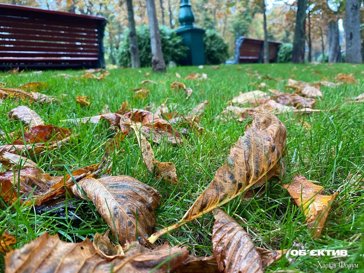 2025-10-02-11.26.05.webp