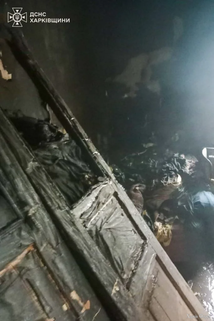 Смертельна пожежа у Рогані