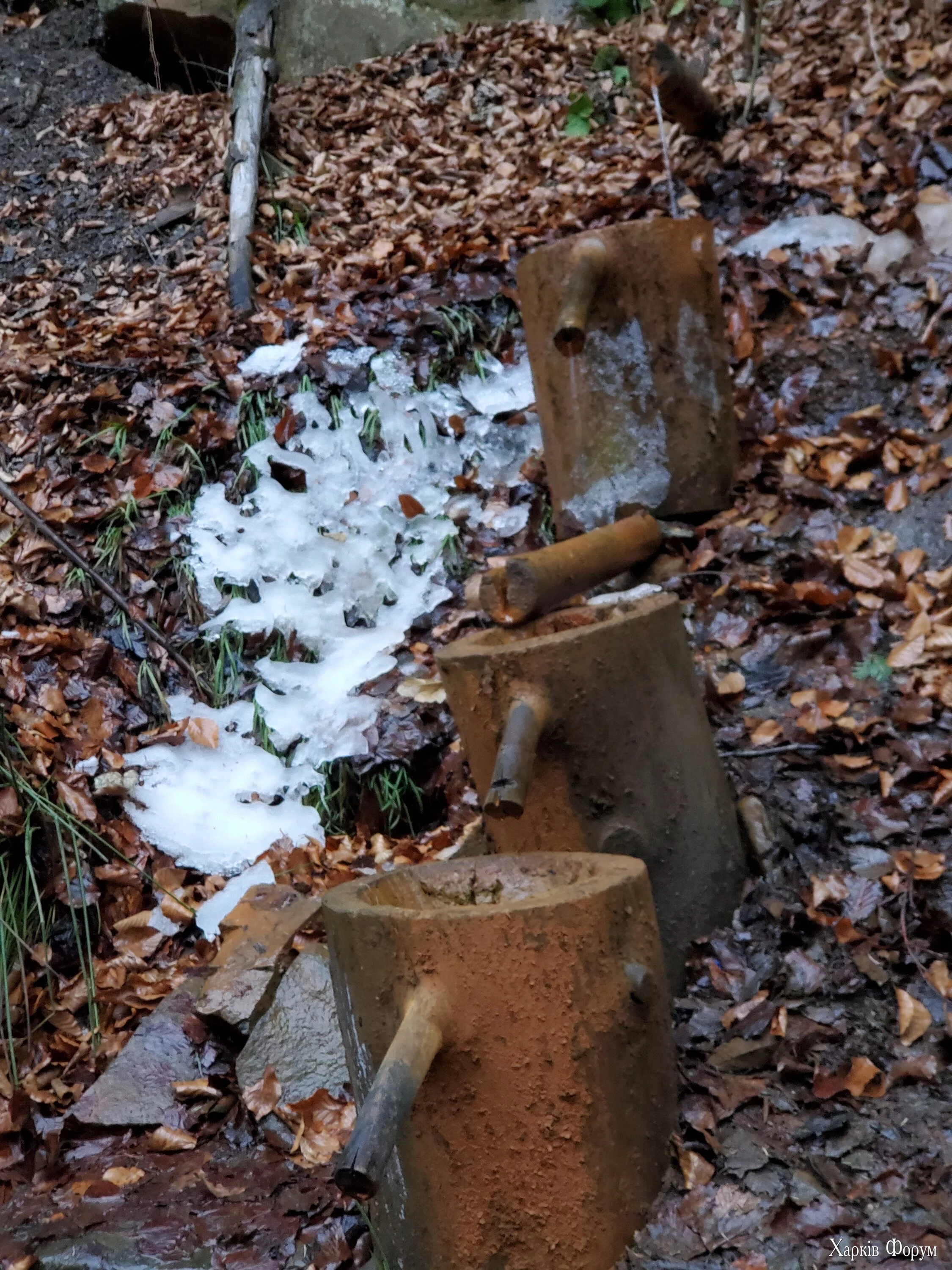 20250106_163545.jpg