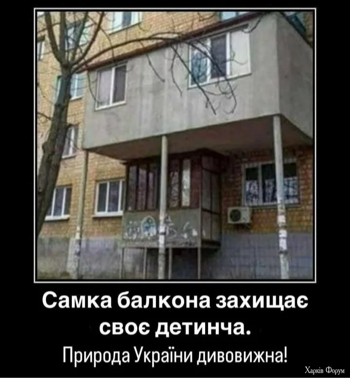 20250110_165111.webp