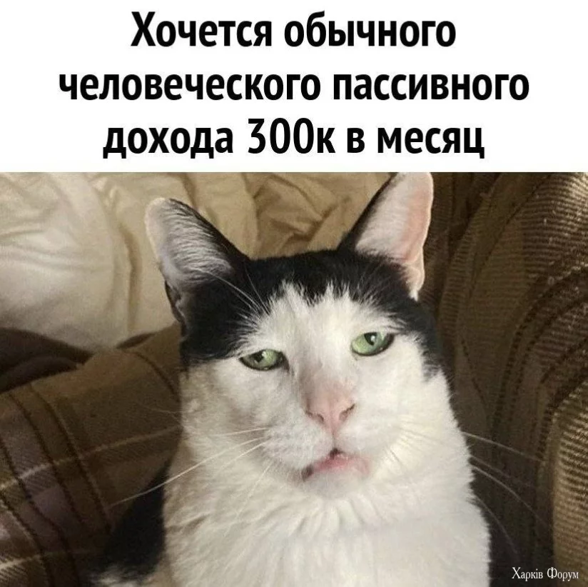 20250111_185812.webp