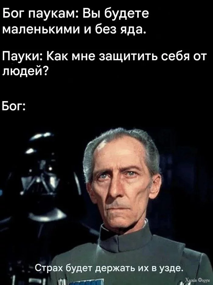 20250119_194138.webp