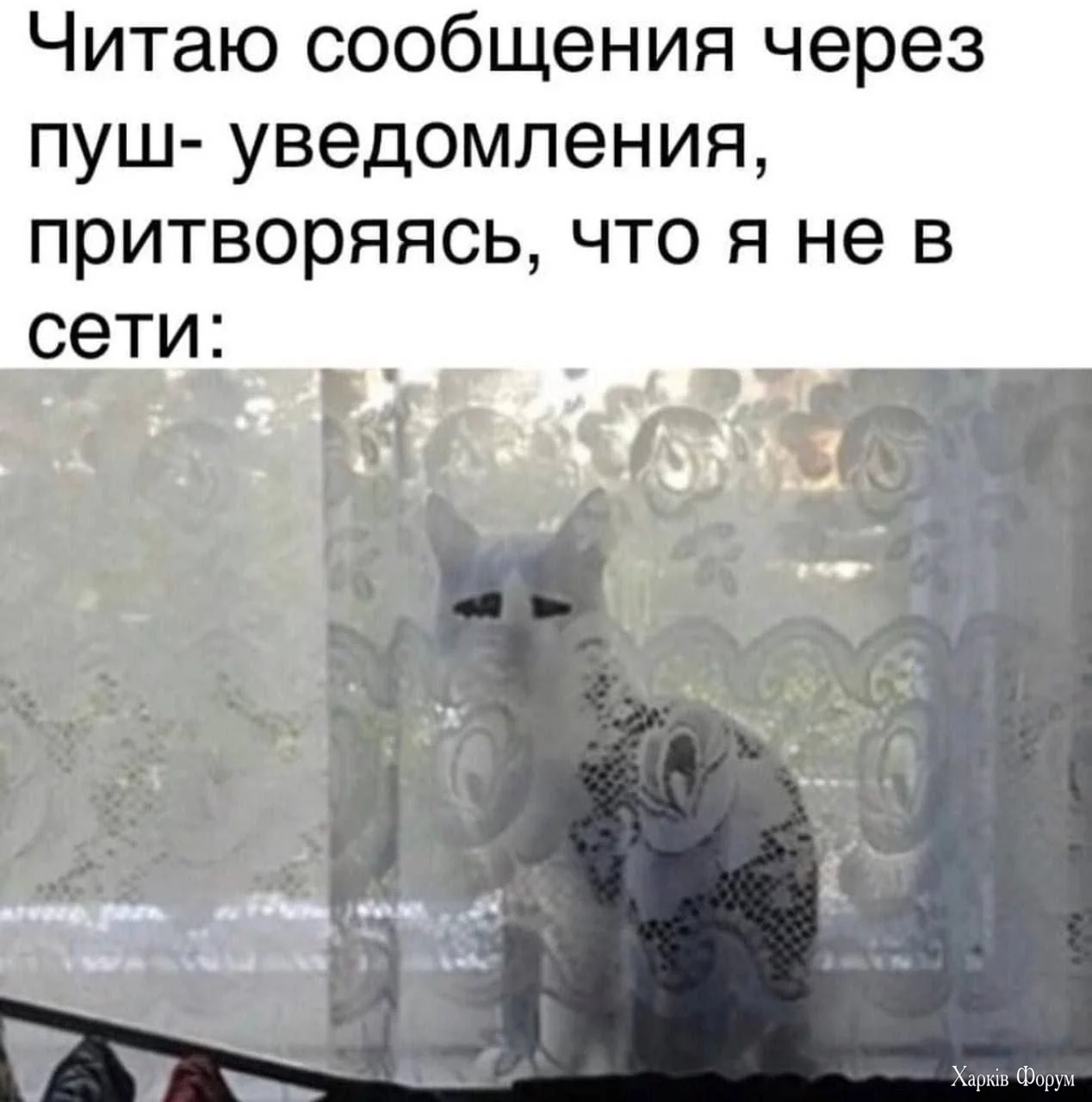 20250119_203814.webp