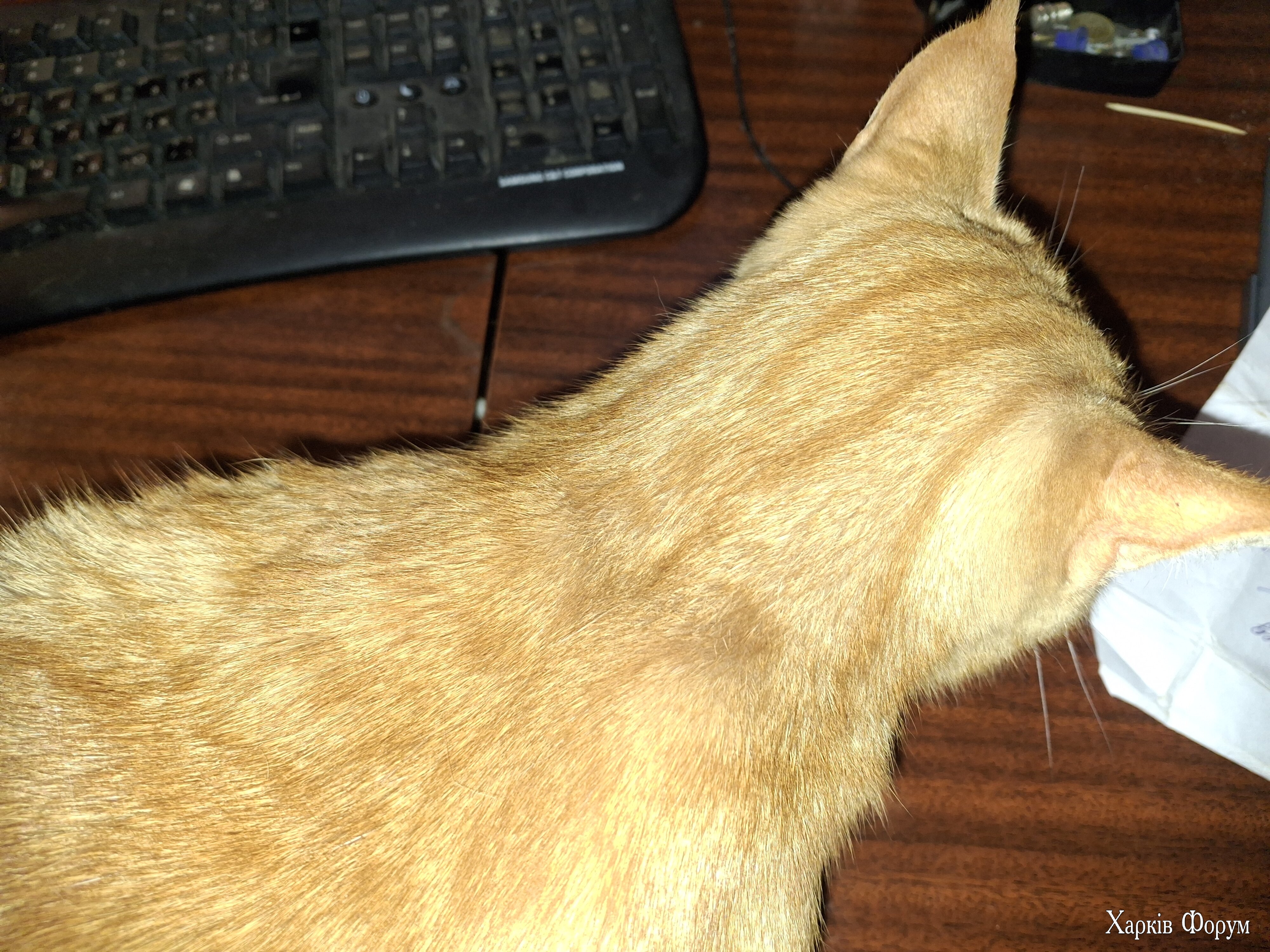 20250126_192106.jpg