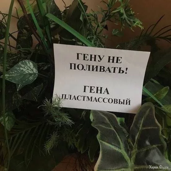 20250131_222508.webp