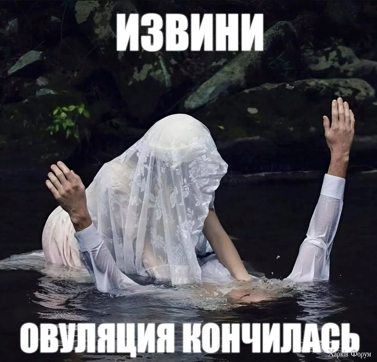 20250131_223101.webp
