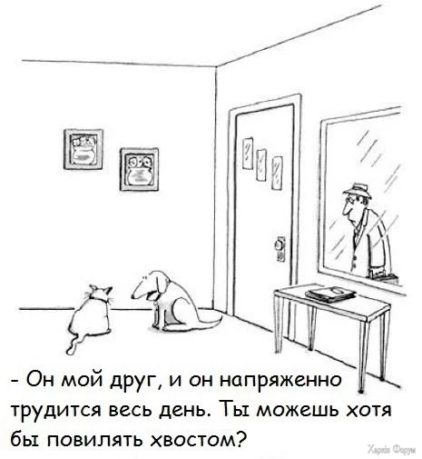20250207_091720.webp