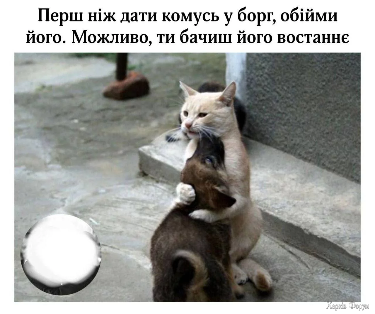 20250221_223458.webp