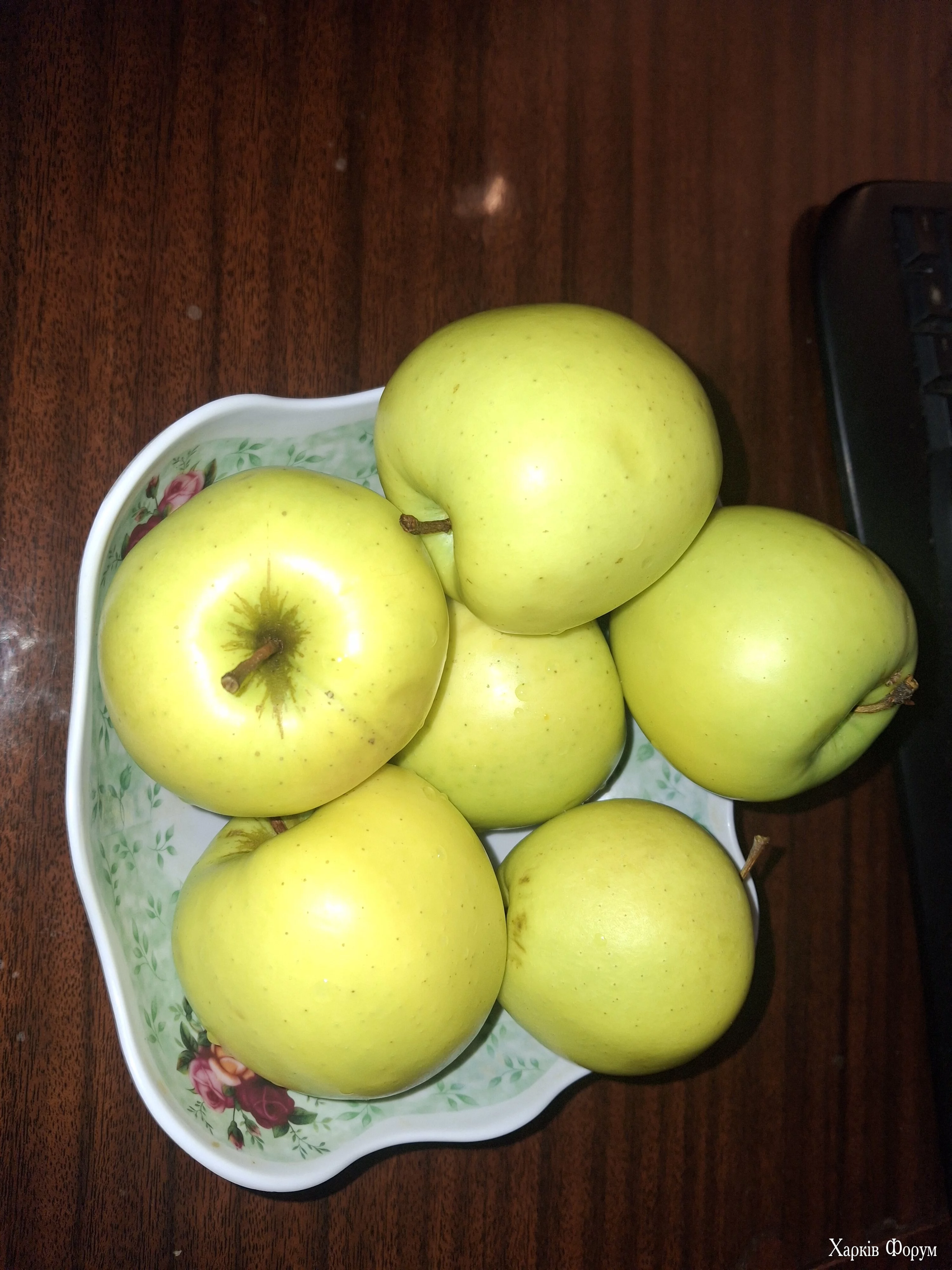 20250224_195829.webp