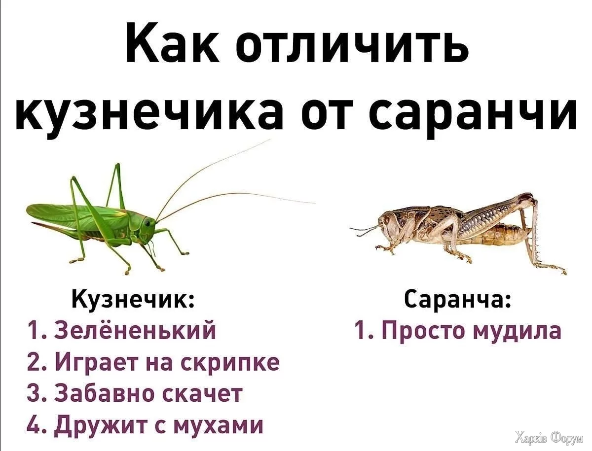 20250226_122739.webp