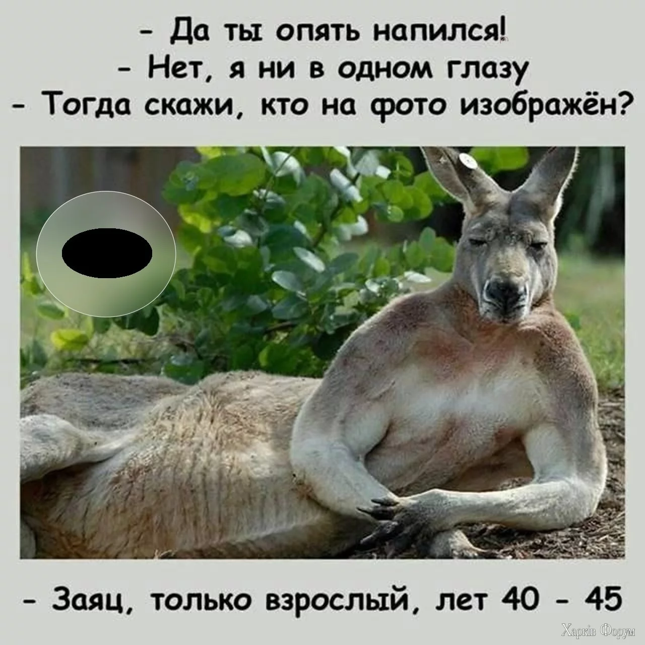 20250306_174728.webp