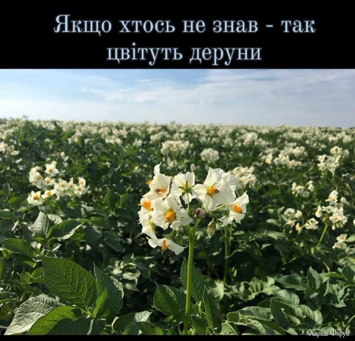 20250312_214731.webp