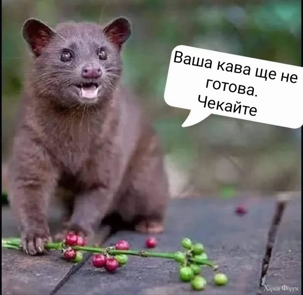 20250319_104444.jpg