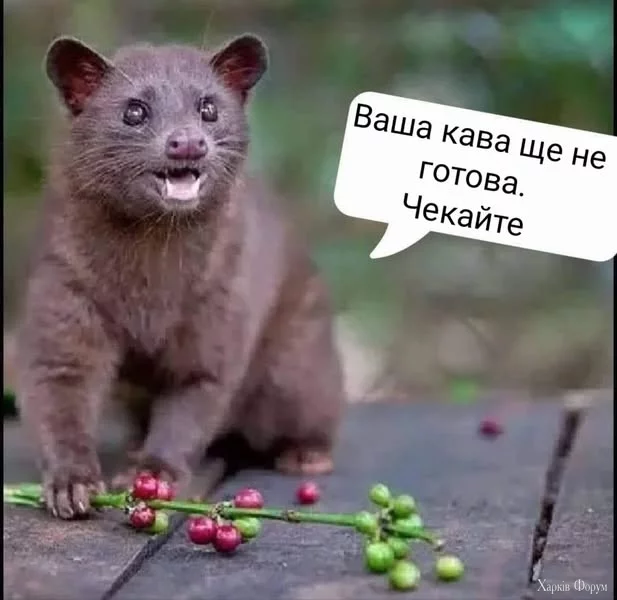20250319_104444.webp