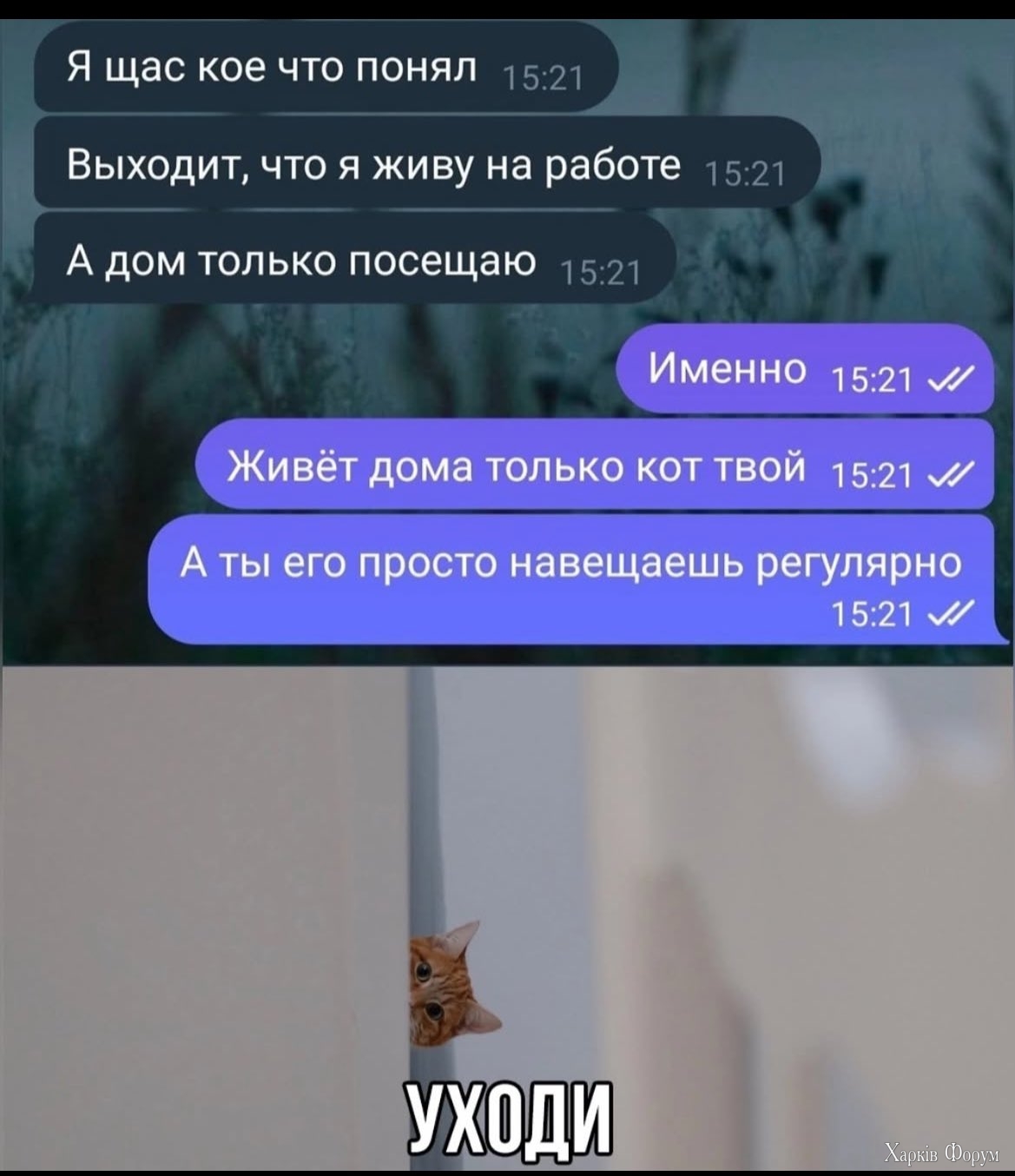 20250324_000052.jpg