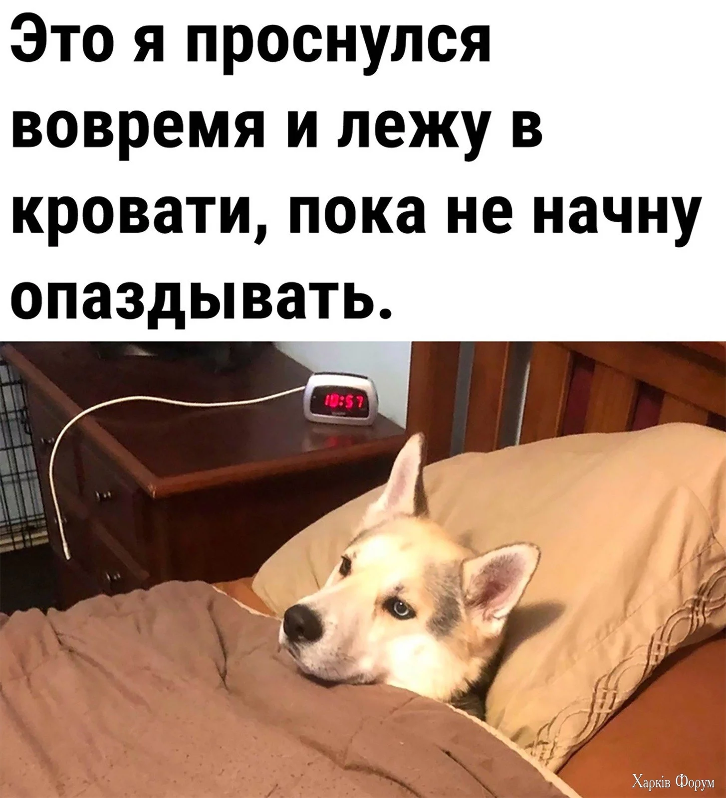20250401_073559.webp
