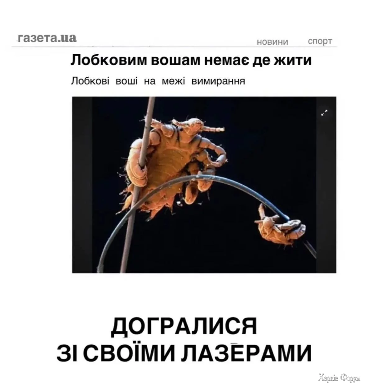 20250402_205550.webp