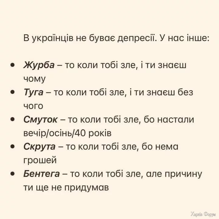 20250403_084638.webp