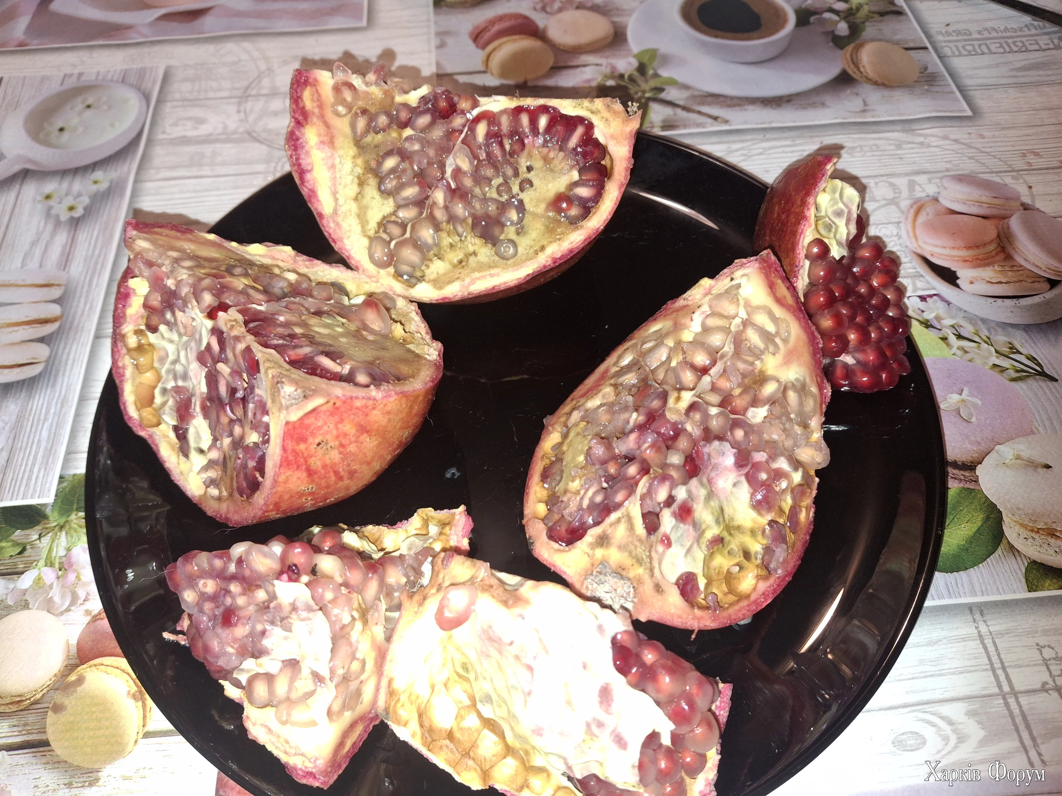 20250403_204054.webp