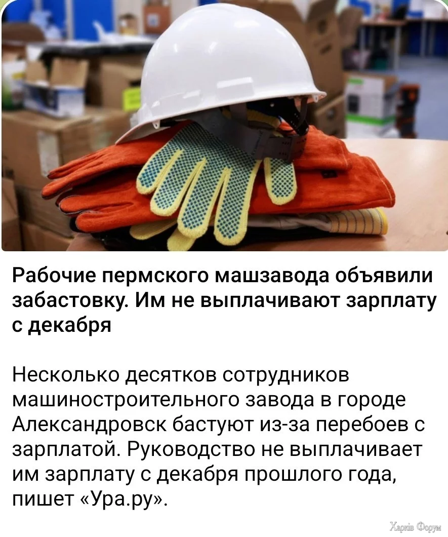 20250411_181311.webp