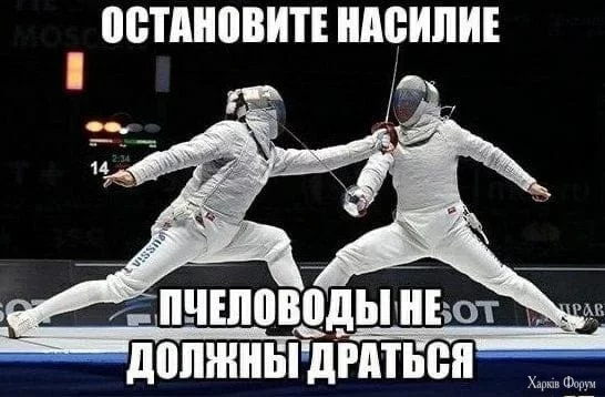 20250412_181715.webp