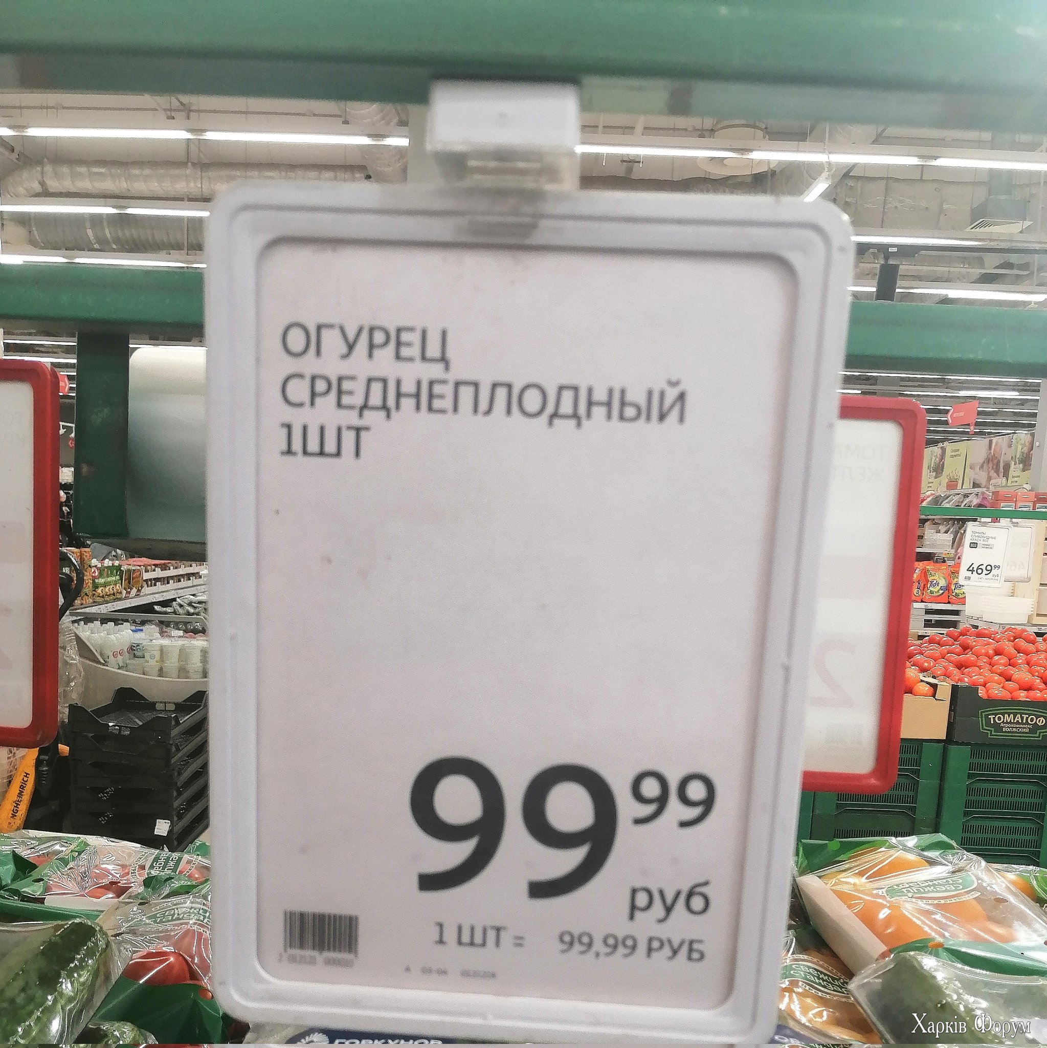 20250412_190918.jpg
