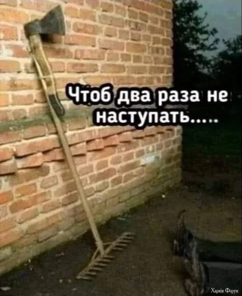 20250414_120915.webp