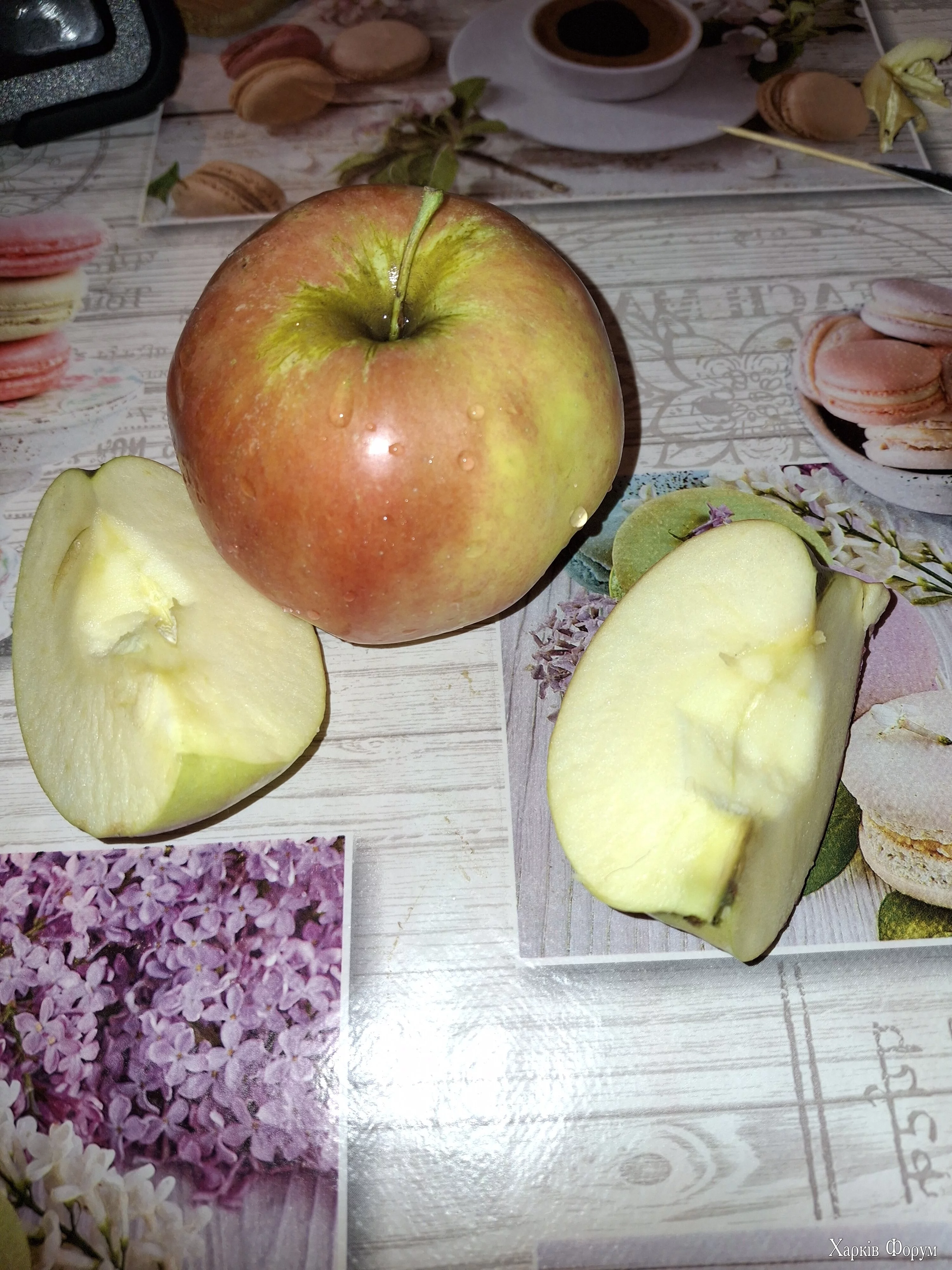 20250414_210547.webp