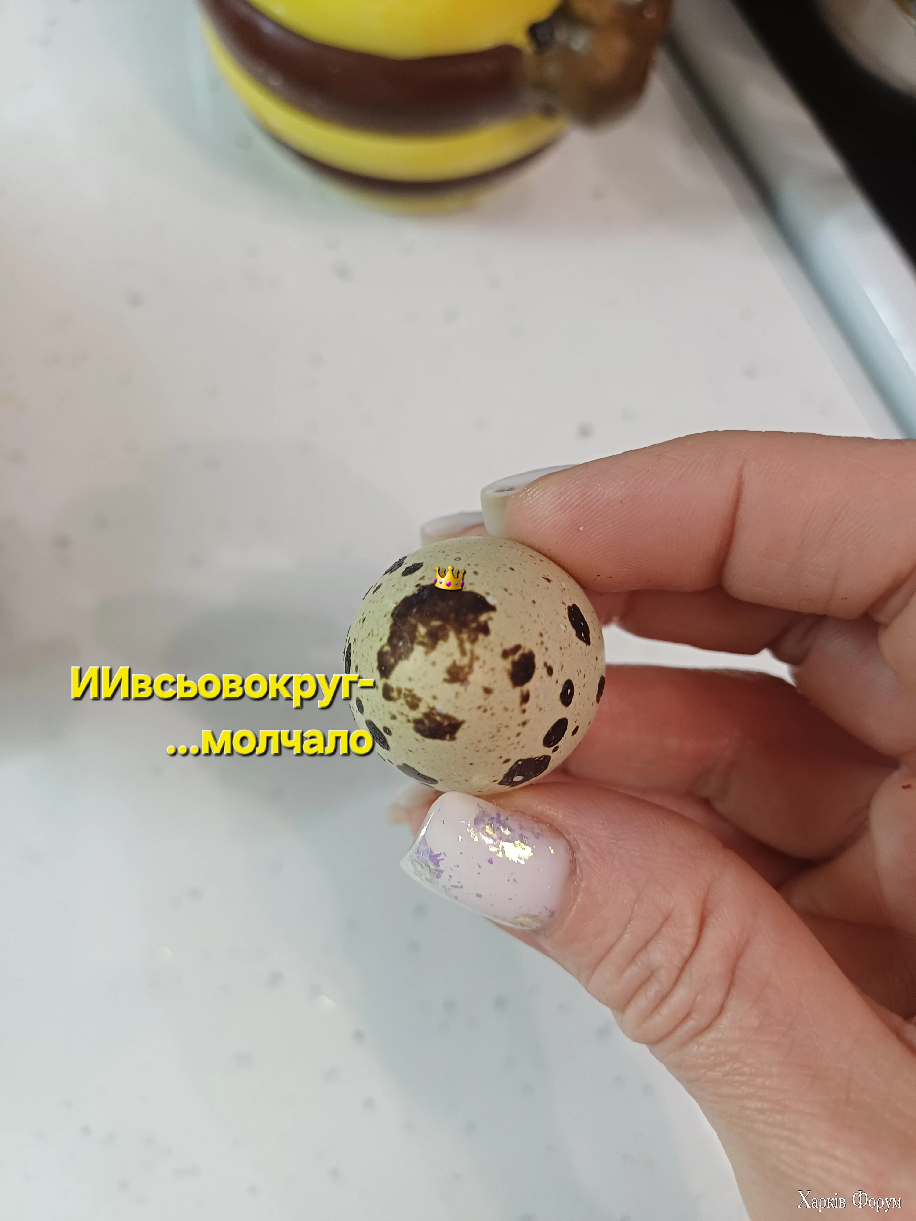 20250415_133755.webp