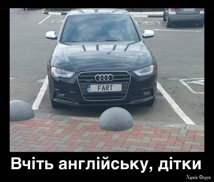 20250416_132502.jpg