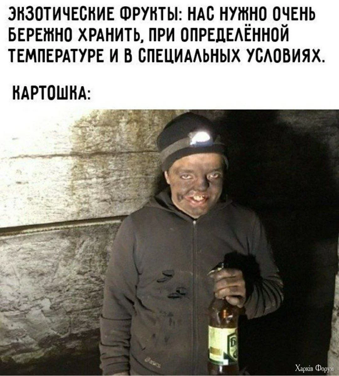 20250417_190504.webp