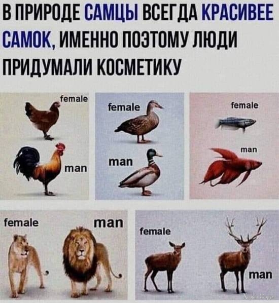 20250424_144626.jpg