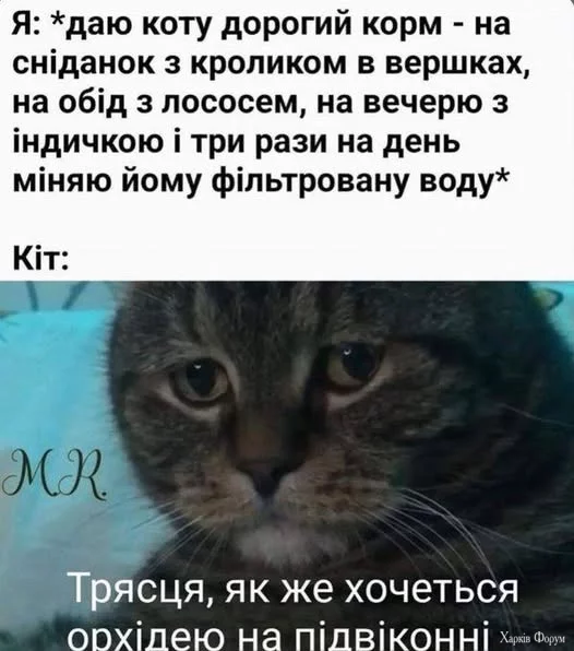 20250425_120205.webp