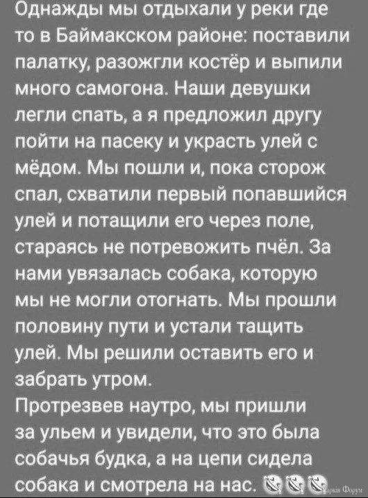 20250425_131648.webp