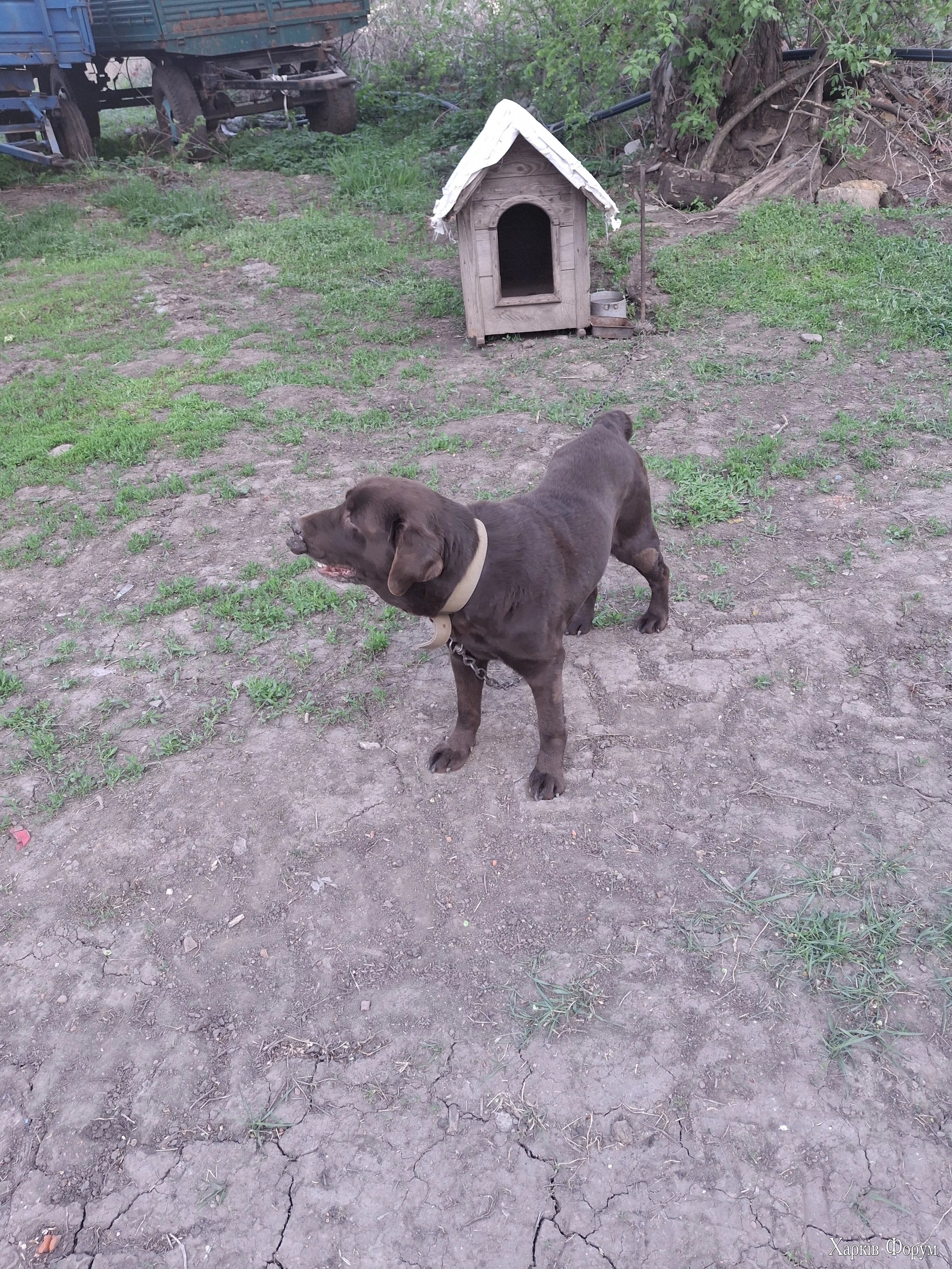 20250425_184221.webp