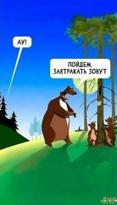 20250427_083527.webp
