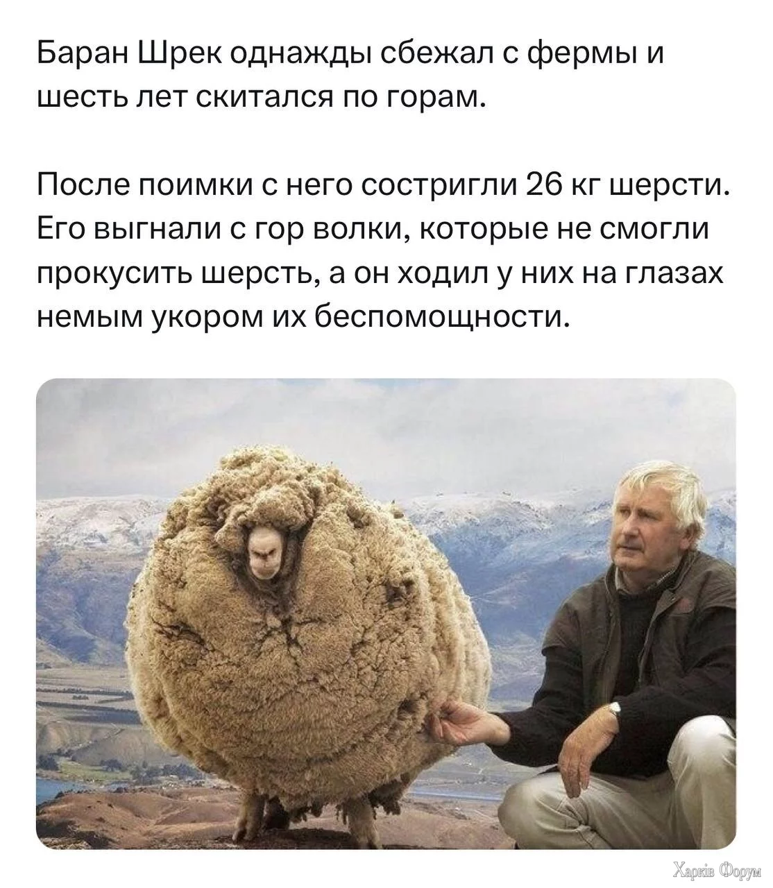 20250428_121409.webp