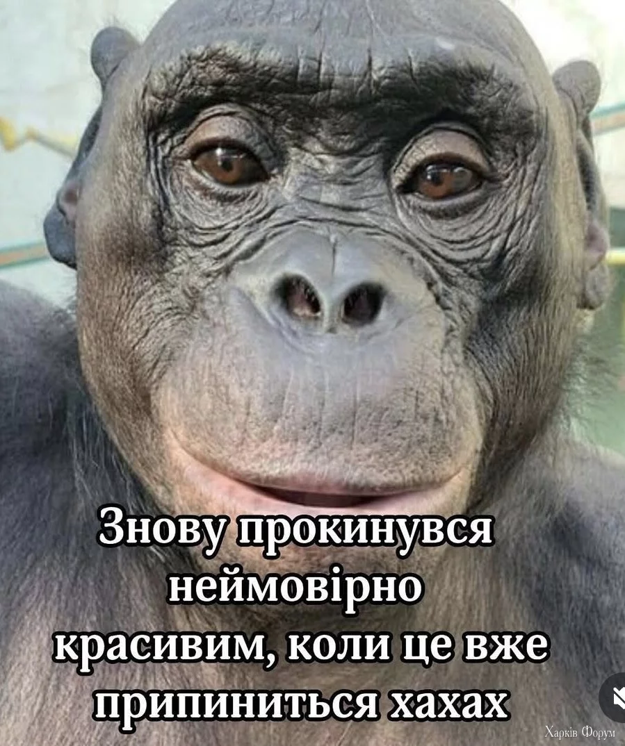 20250429_090645.webp