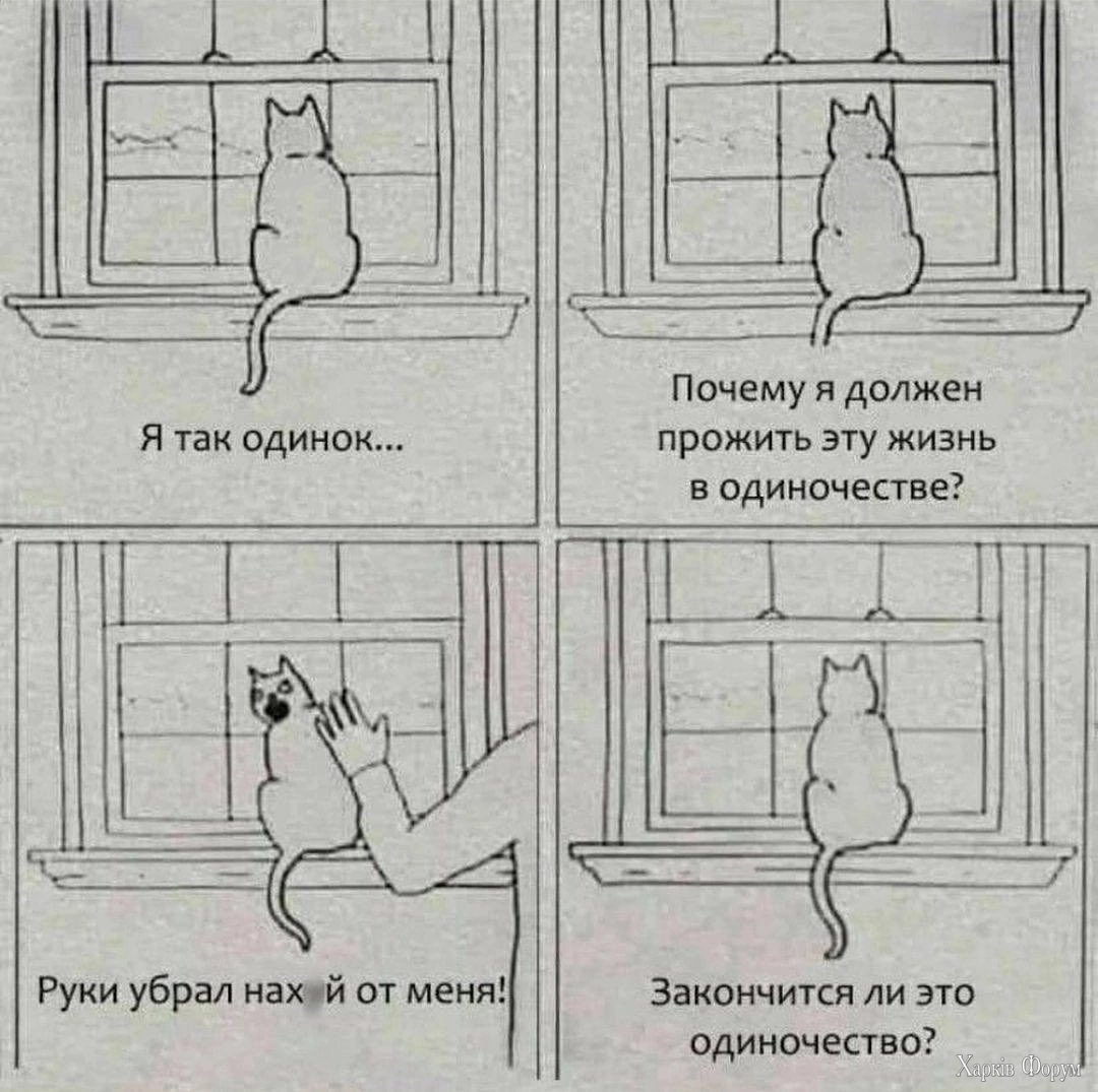20250430_171646.jpg