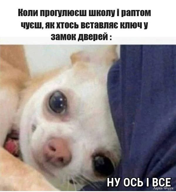 20250504_114324.jpg