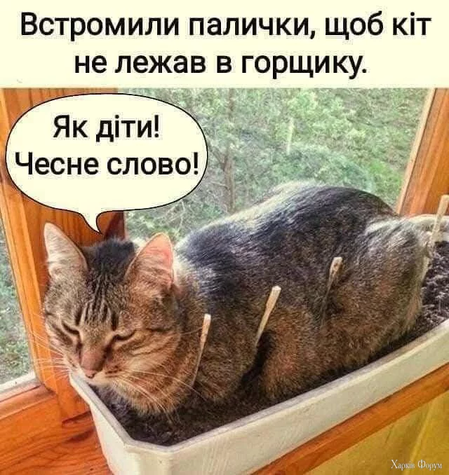 20250505_100603.webp