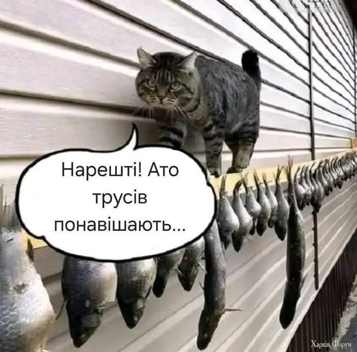 20250506_120931.webp