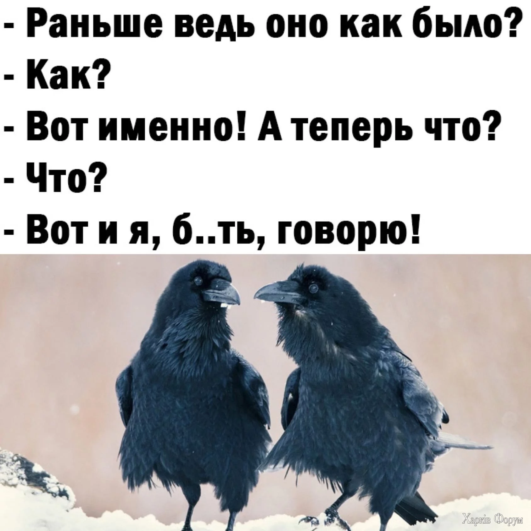 20250511_174324.webp