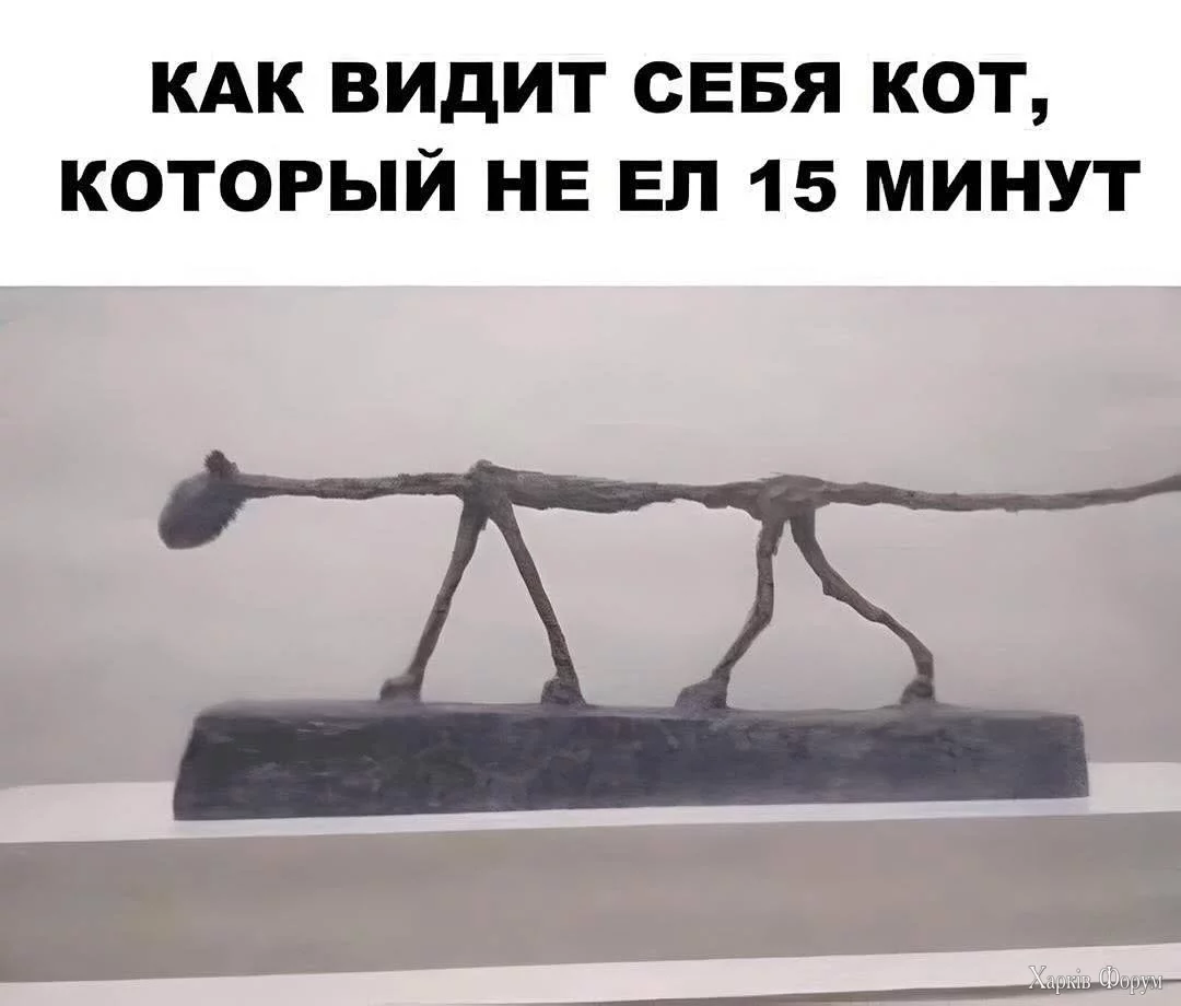 20250512_115521.webp